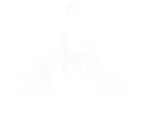 Faint image of a person standing with two deer in a field.